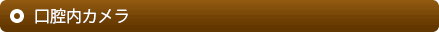 口腔内カメラ